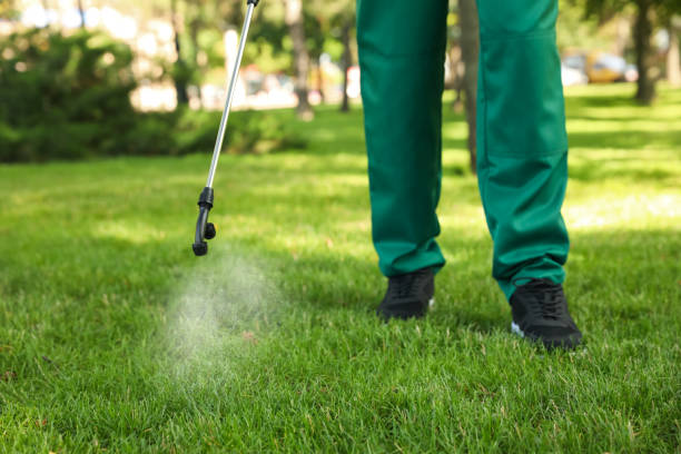 Best Flea Control Services  in Summit, AZ